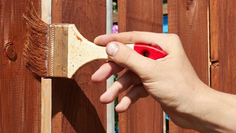 staining fence