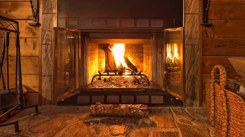 wood burning Fireplace
